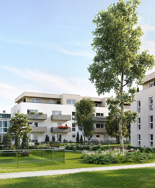 Vorschaubild Wiedner