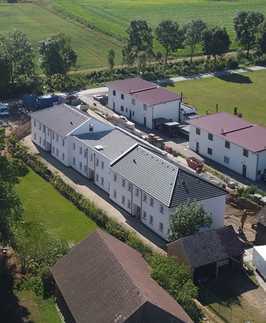 Grünspecht Drohnenaufnahme