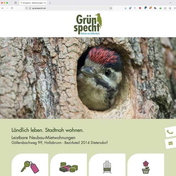 Grünspecht Website