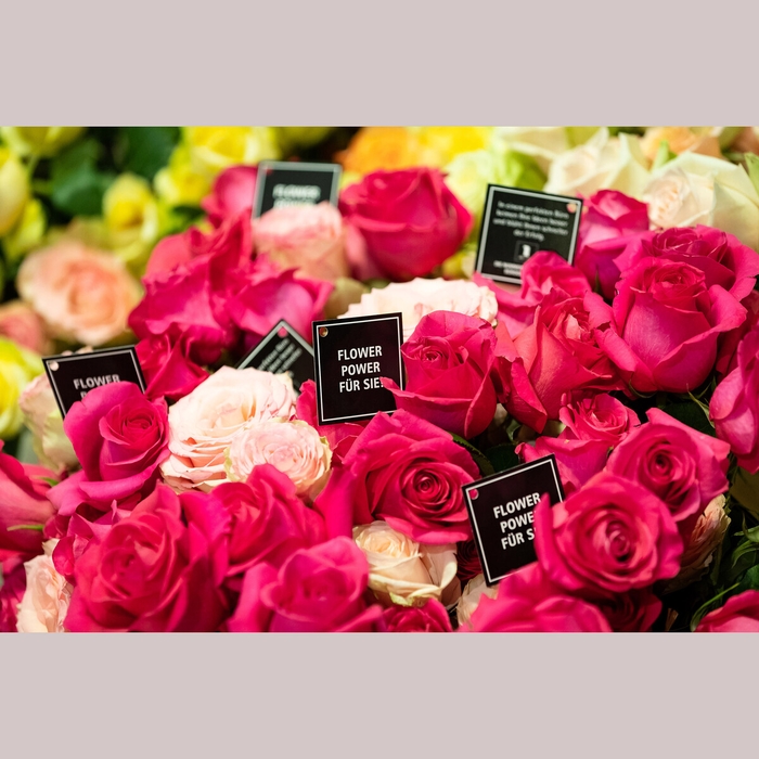 Foto Valentinsaktion IZD Tower