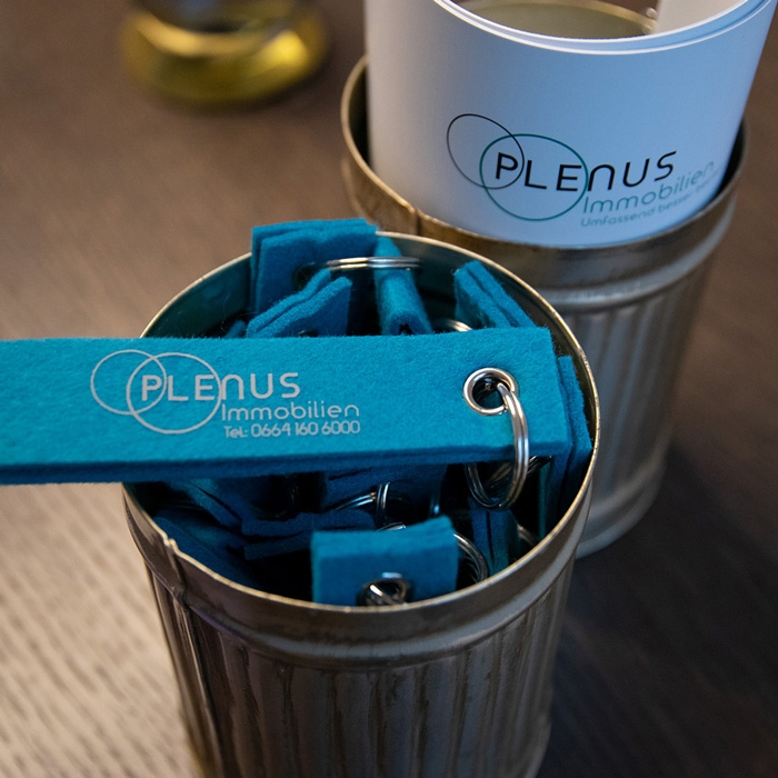 Plenus Meeting