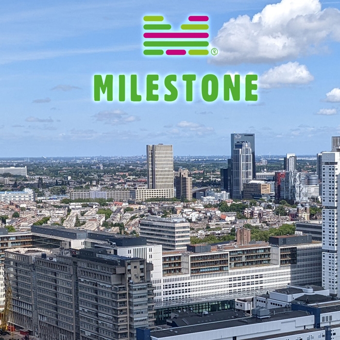 Milestone Befragung Logo