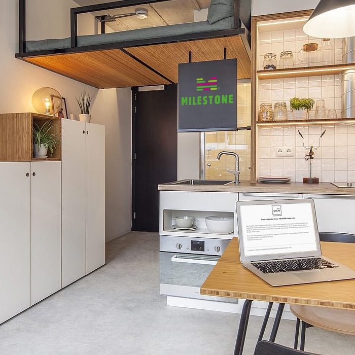 Milestone Chapter Lucia Befragung