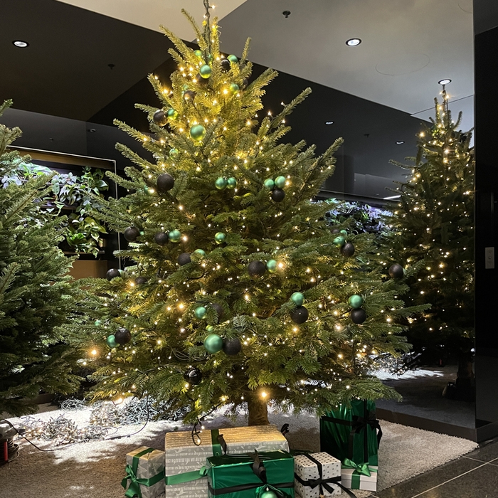 IZD-Tower_Christbaum