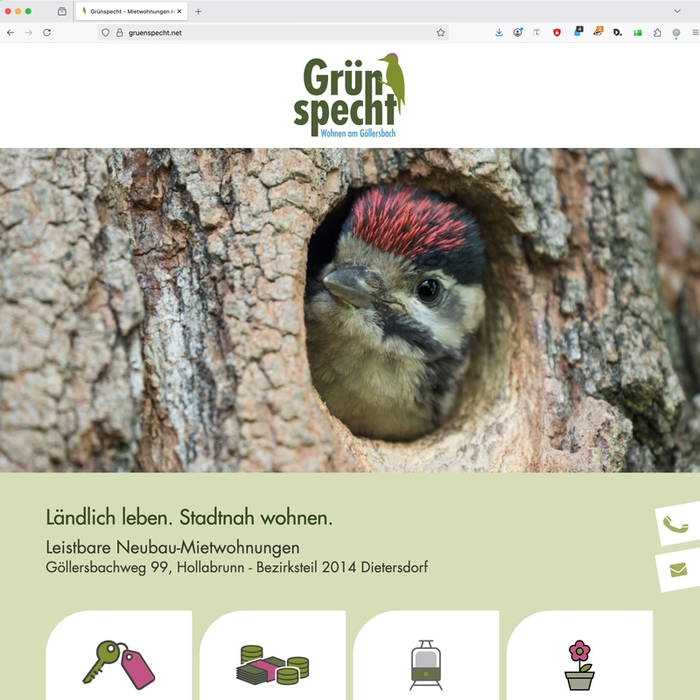 Grünspecht Website