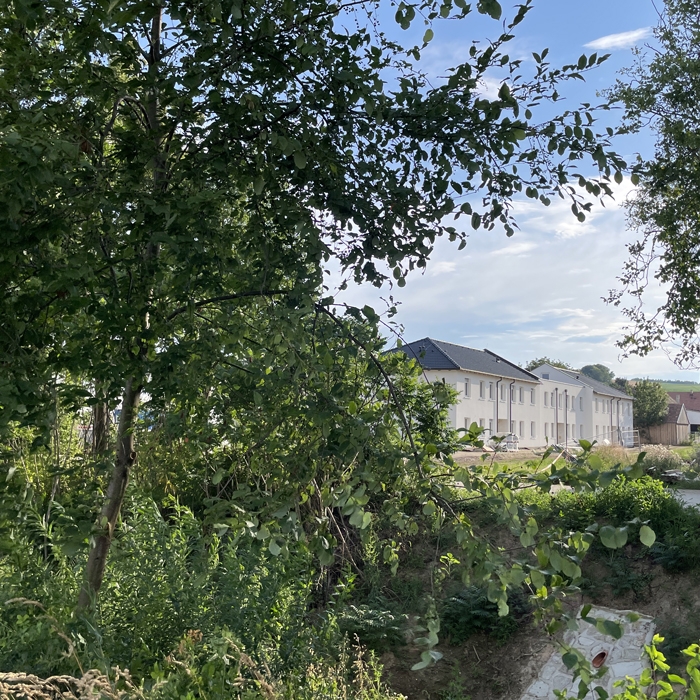 Grünspecht Wohnanlage vom Göllersbach aus gesehen