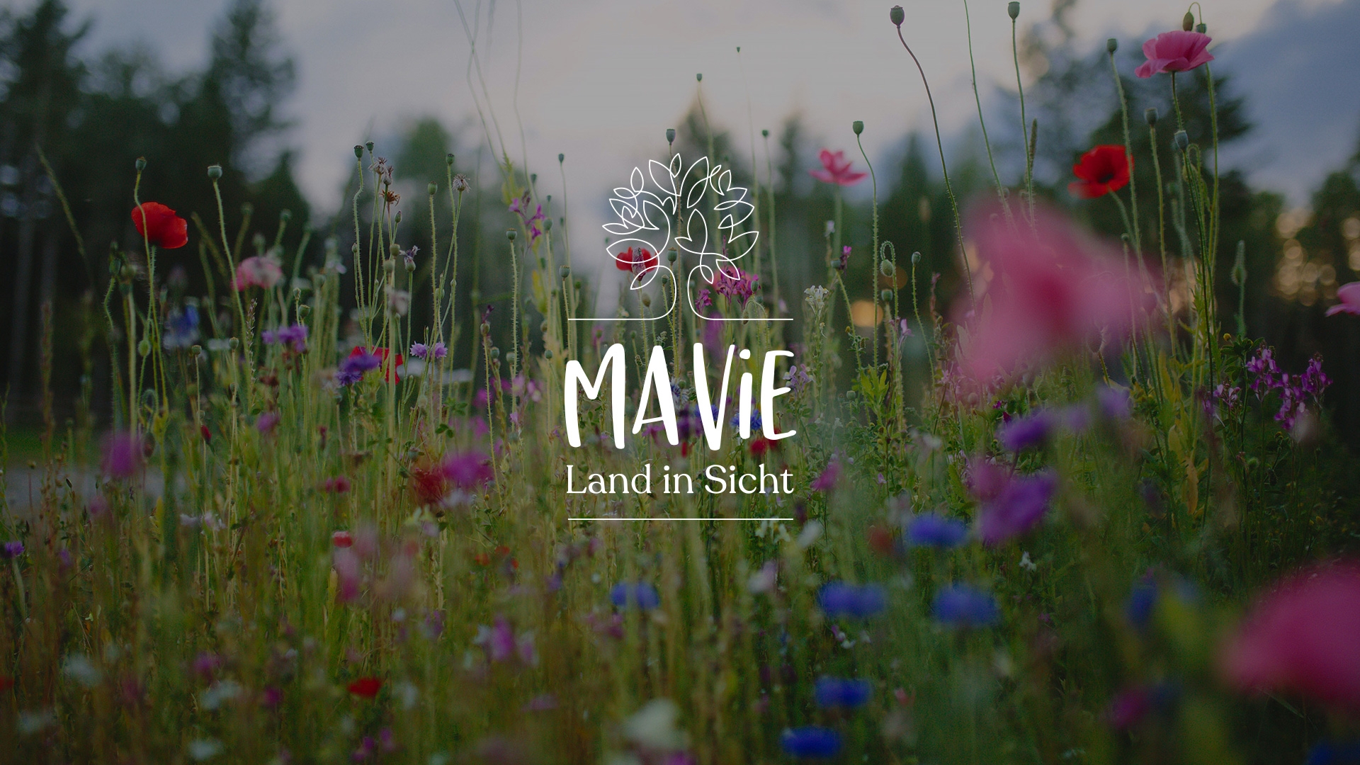 MaVie Bosak und die Wölfe 