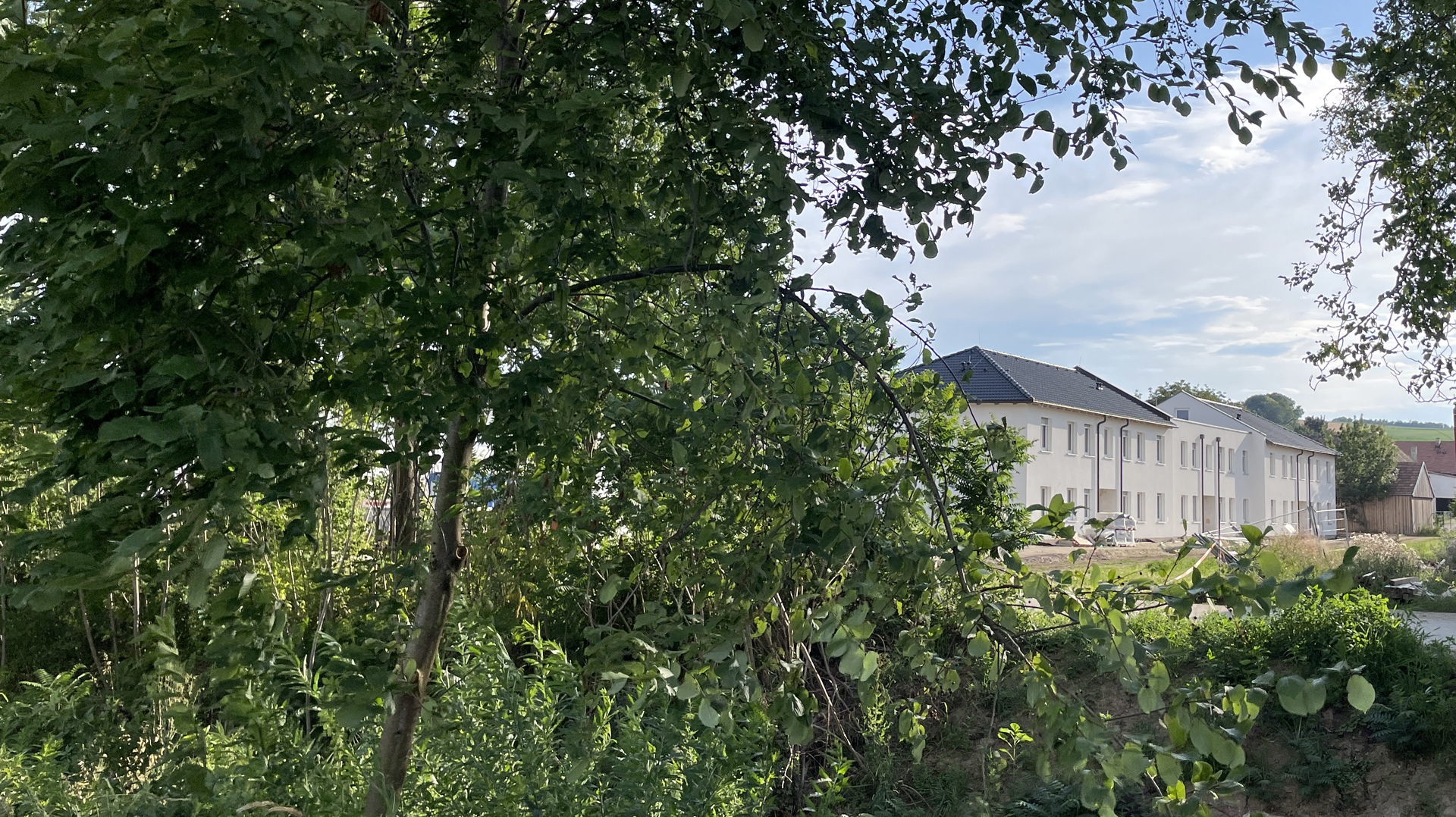 Wohnanalge Grünspecht in Dietersdorf